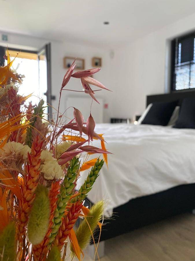 Ferienhaus für 2 Personen, mit Terrasse und Garten sowie Ausblick in Damme (Belgien)