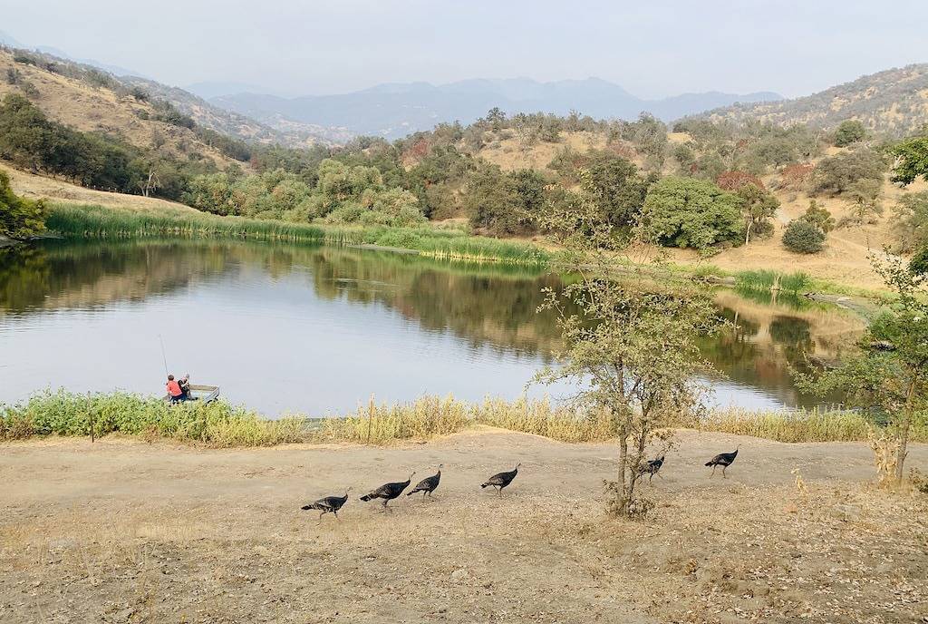 Vacation House for 6 Guests in Sequoia National Park, Tulare County