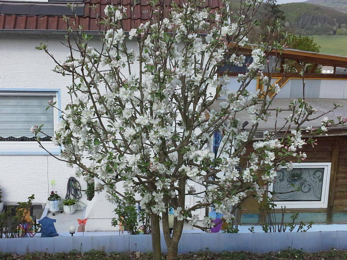 Ganze Wohnung, Ferienwohnung Galina 1 in Rockenhausen, Pfälzer Bergland