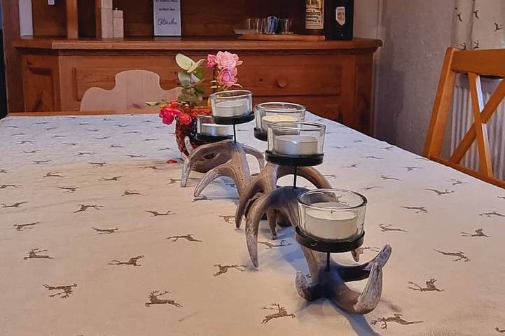 Ferienhaus für 10 Personen, mit Sauna und Garten in Grafenau - 2