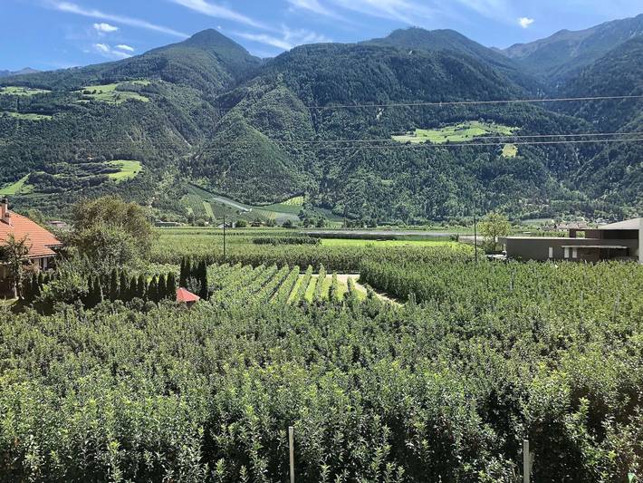 Hütte für 4 Personen, mit Ausblick und Garten sowie Terrasse im Vinschgau - 4