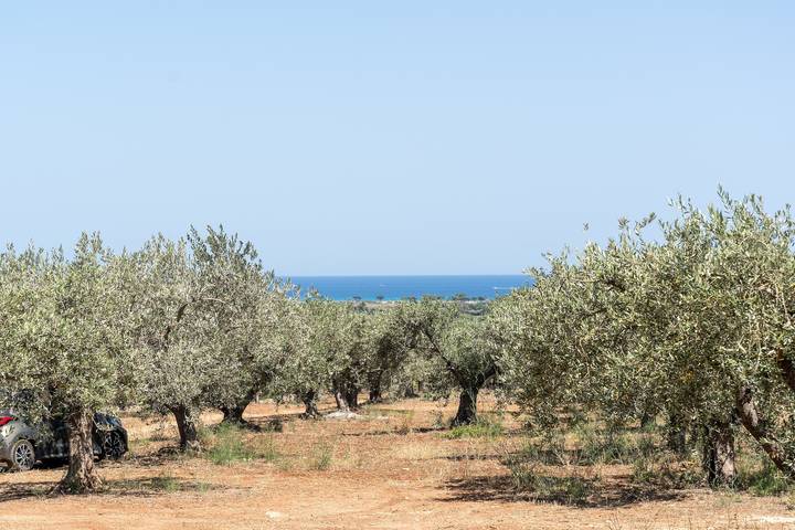 Casa vacacional 'Villa Piricone' con vistas al mar, terraza compartida y Wi-Fi in Orosei, Golfo de Orosei