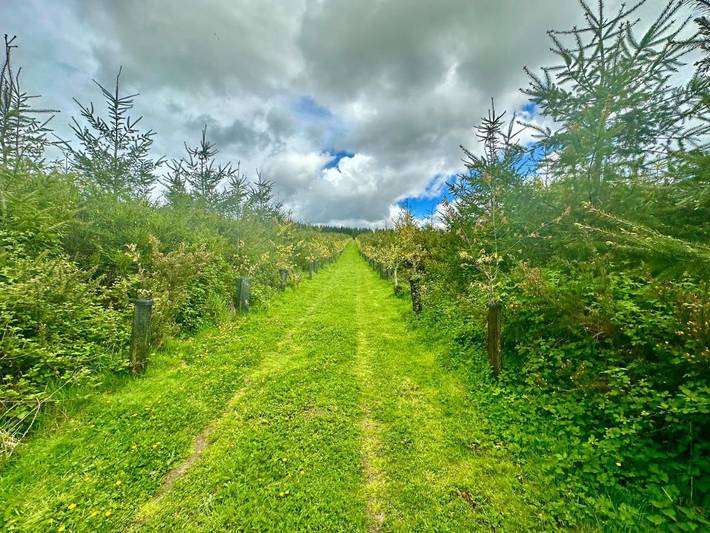 Location de vacances pour 10 personnes, avec vue et jardin, animaux acceptés à Langonnet - 2