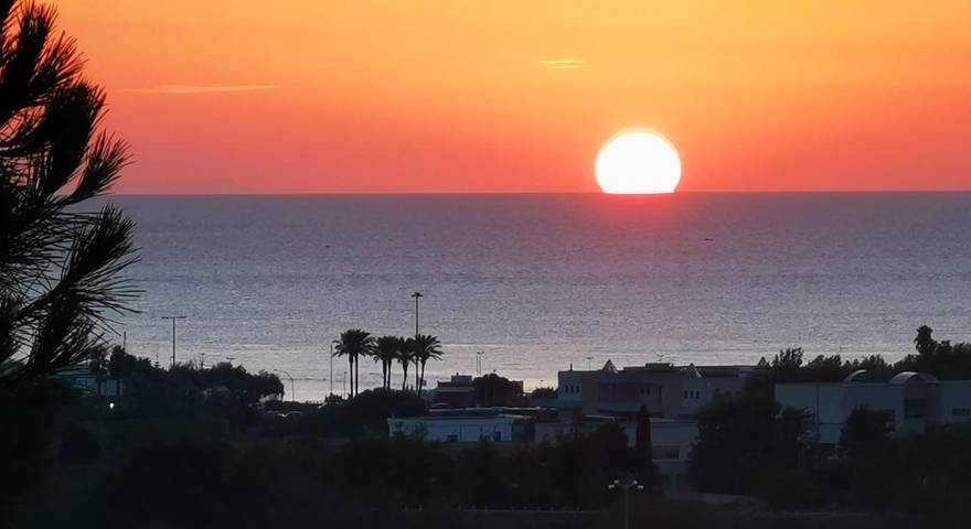 Casa vacanza per 4 persone, con giardino e piscina nonché panorama, con animali domestici a Gallipoli