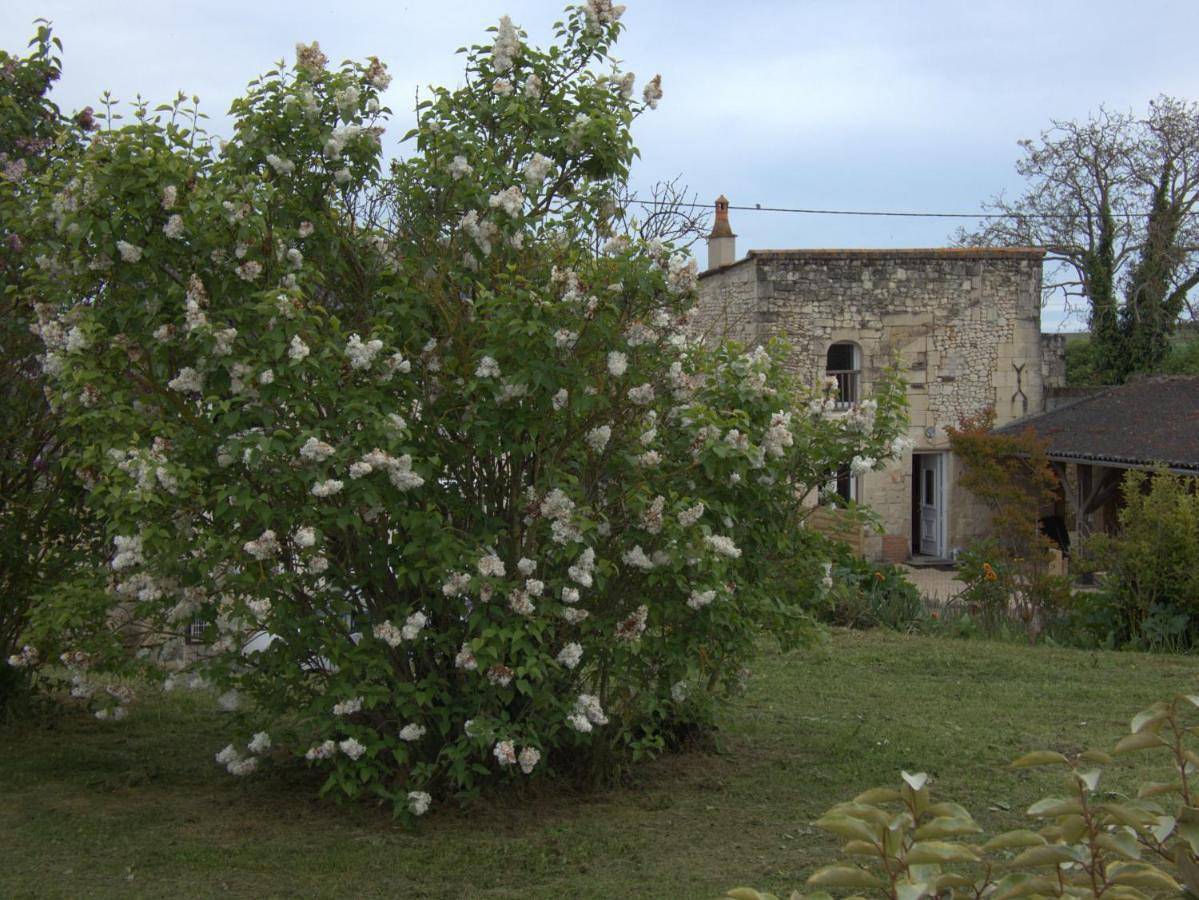 Gîte Val de Loire "L'instant détente" in Saint-Léger-de-Montbrillais, Vallée de la Loire