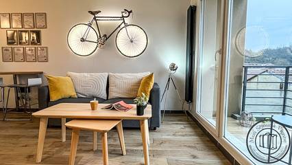 Gîte pour 4 personnes, avec balcon, animaux acceptés à Vienne (Isère)