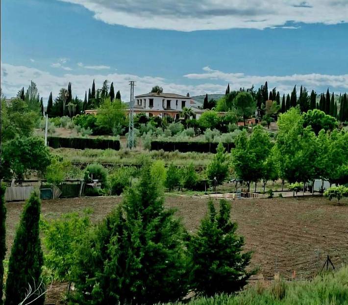 Casa rural para 18 personas, con piscina además de vistas y jardín, Se admiten mascotas en Villanueva del Rosario - 4