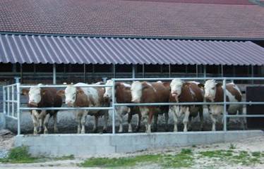 Bauernhaus für 2 Personen in Anger, Rupertiwinkel, Bild 4