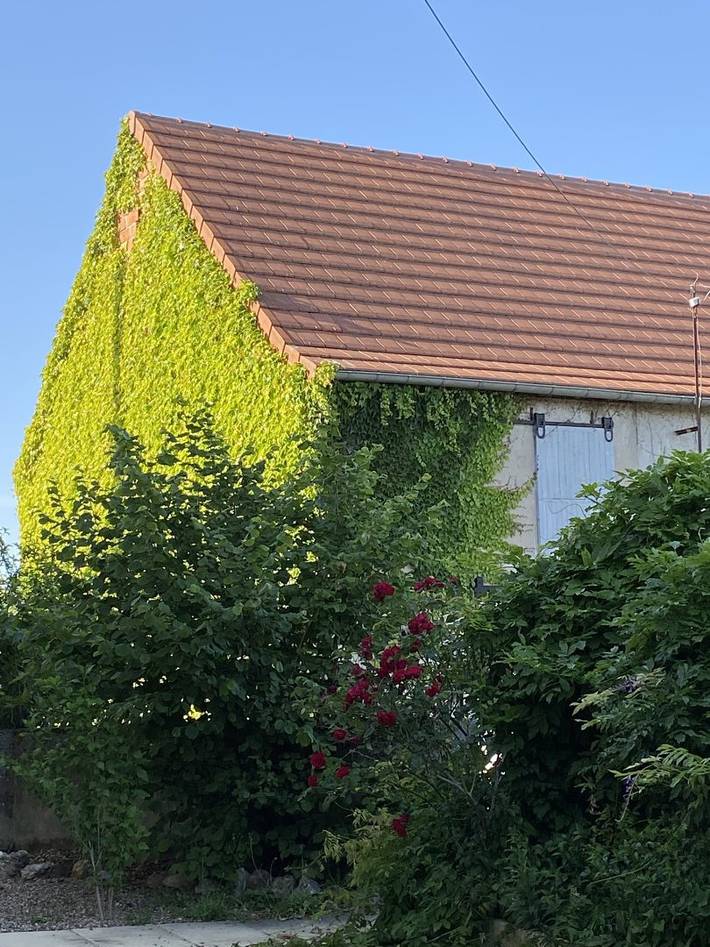 Chambre d’hôte pour 2 personnes, avec jardin, animaux acceptés dans Allier - 3