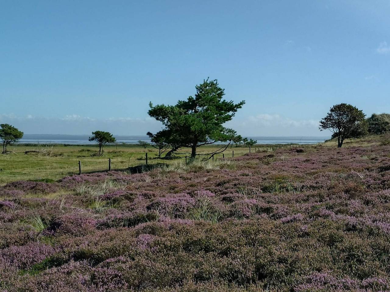4 Personen Ferienhaus in Fanø-By Traum in Rindby, Fanø