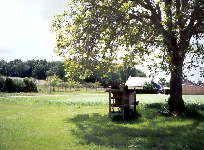 Holiday Home 'Le Ecurie' with Shared Pool, Private Terrace and Wi-Fi in Allonnes, Loire Valley