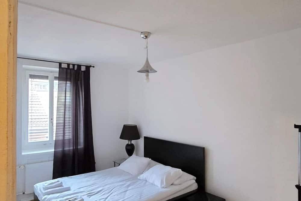 Entire apartment, Charming 2-bedroom apartment in vibrant Zürich with Wifi in Zurich, Zurich district