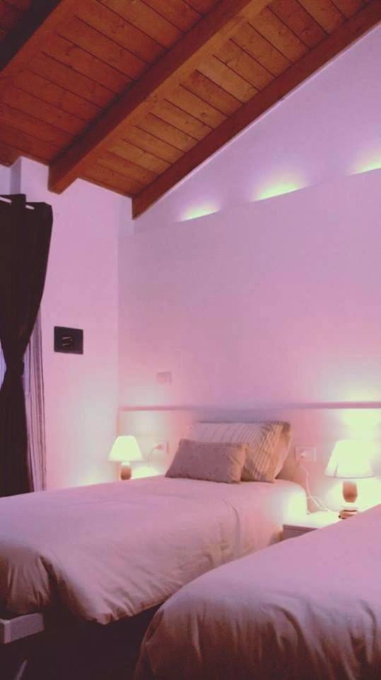 Bed and breakfast per 1 persone, con animali domestici - 1