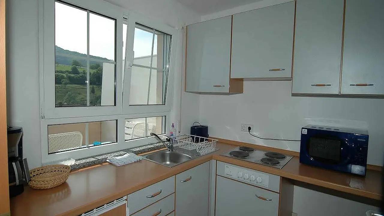 Ganze Wohnung, Appartement für 3 Personen (45 m²) in Au in Au (Schwarzwald), Südschwarzwald