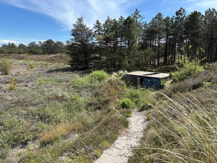 Ferienhaus für 6 Personen, mit Terrasse, kinderfreundlich auf Rømø - 4