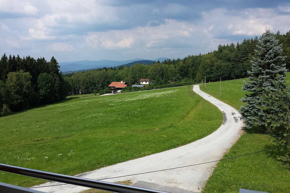 Ganze Wohnung, Ferienwohnung für den gehobenen Anspruch in idyllischer Alleinlage in Zachenberg, Ostbayern