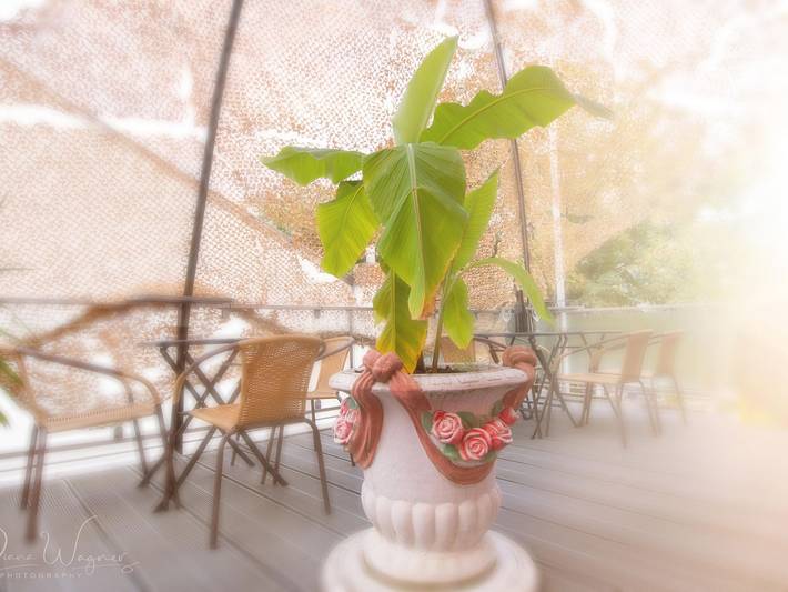 Hotel für 2 Personen im Pfälzer Wald - 3