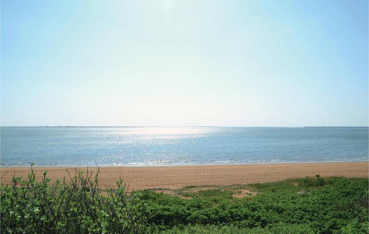 Ferienhaus für 4 Personen, mit Terrasse, mit Haustier in Esbjerg - 3