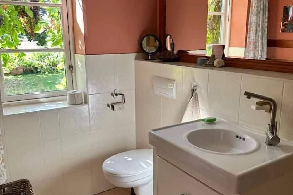 Ganze Wohnung, Mecklenb√º mit Teich, Kamin, Sauna und Hotpott in Dargun, Mecklenburgische Seenplatte