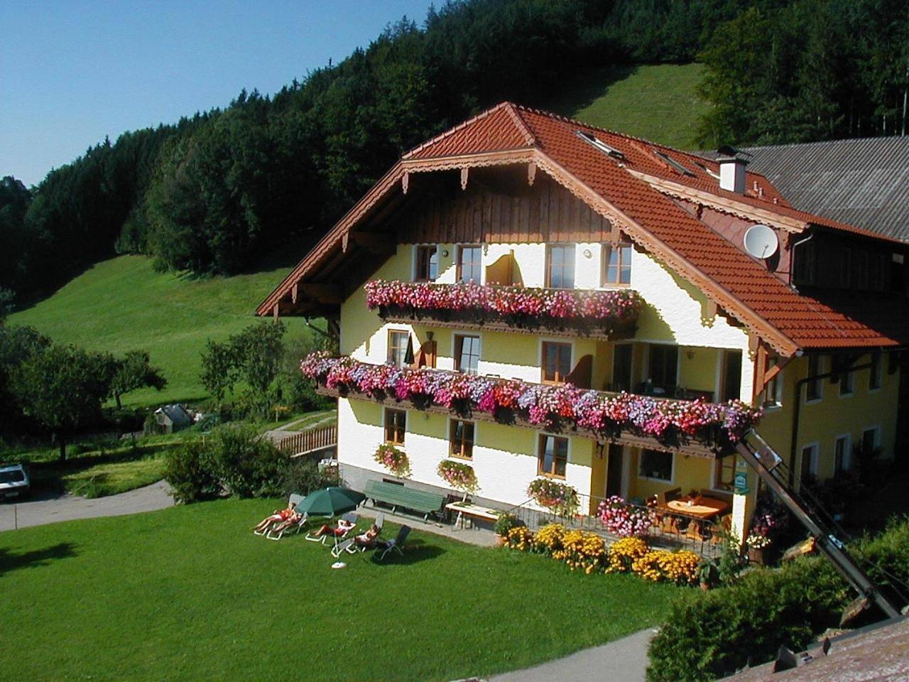 Geheel appartement, Apartment with Balcony in Mondsee & Irrsee