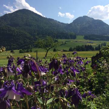 Bauernhof für 4 Personen in Ruhpolding, Bayerische Alpen, Bild 4