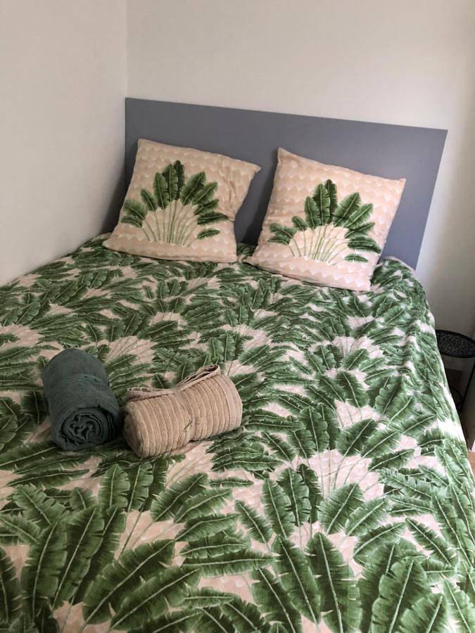Double Room with Shared Bathroom in Reims, Marne