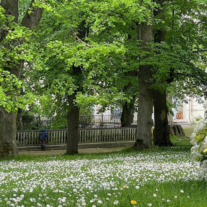 Location de vacances pour 10 personnes, avec jardin ainsi que vue et sauna à Boissy-Saint-Léger - 4