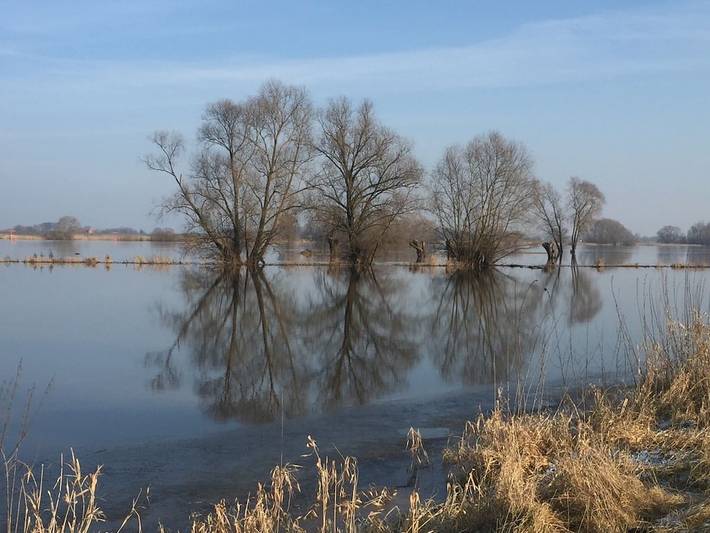 Wendland-am-Weinberg in Hitzacker, Elbtalaue