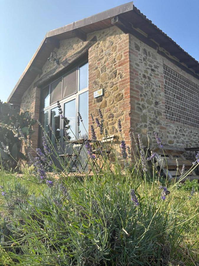 Camping für 2 Personen, mit Garten und Pool, mit Haustier in Umbrien - 4