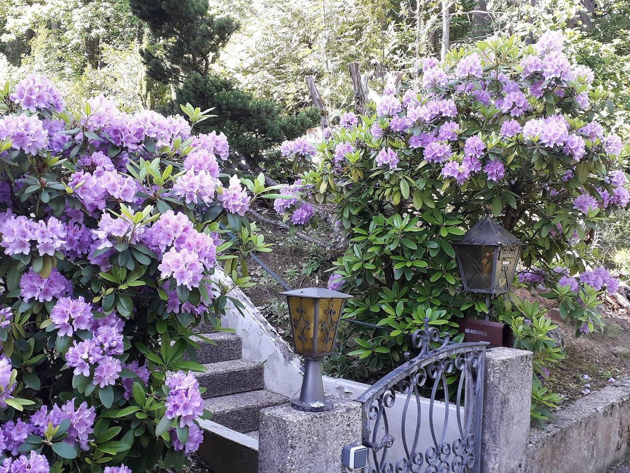 Ganze Ferienwohnung, Haus Elfriede - Ferienwohnung Mandelblüte in Dörrenbach, Südliche Weinstraße