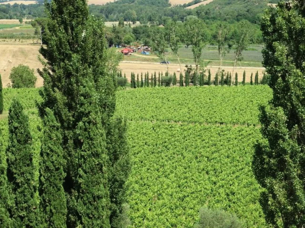 Apartamento entero, 4 estancias 2 Personas in Sarteano, Provincia de Siena