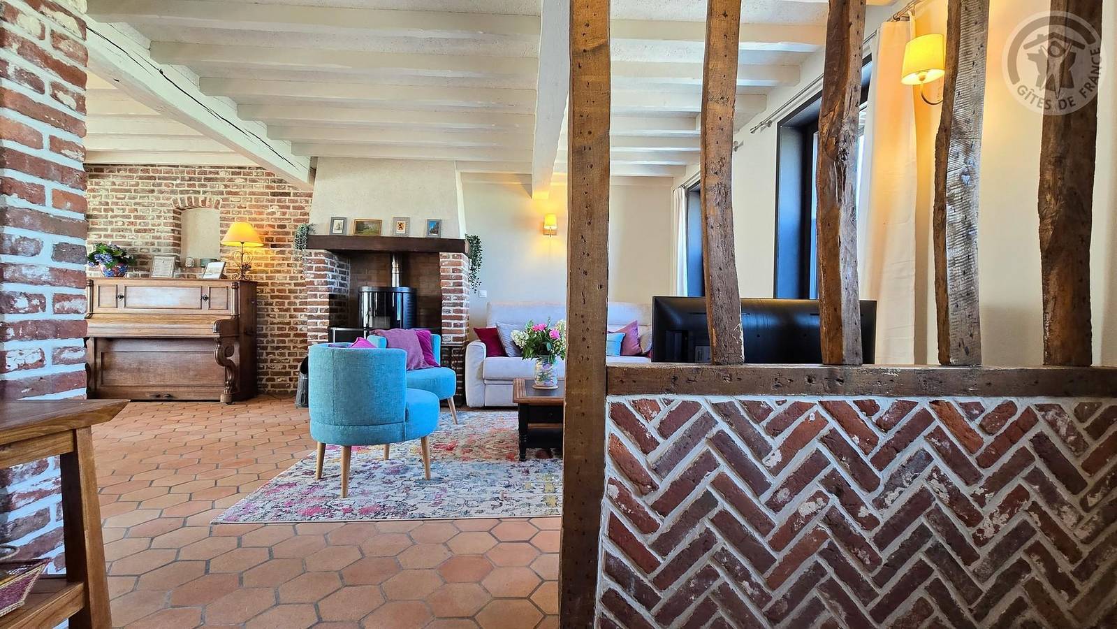 Oiseaux de paradis in Coutiches, Norte (Francia)