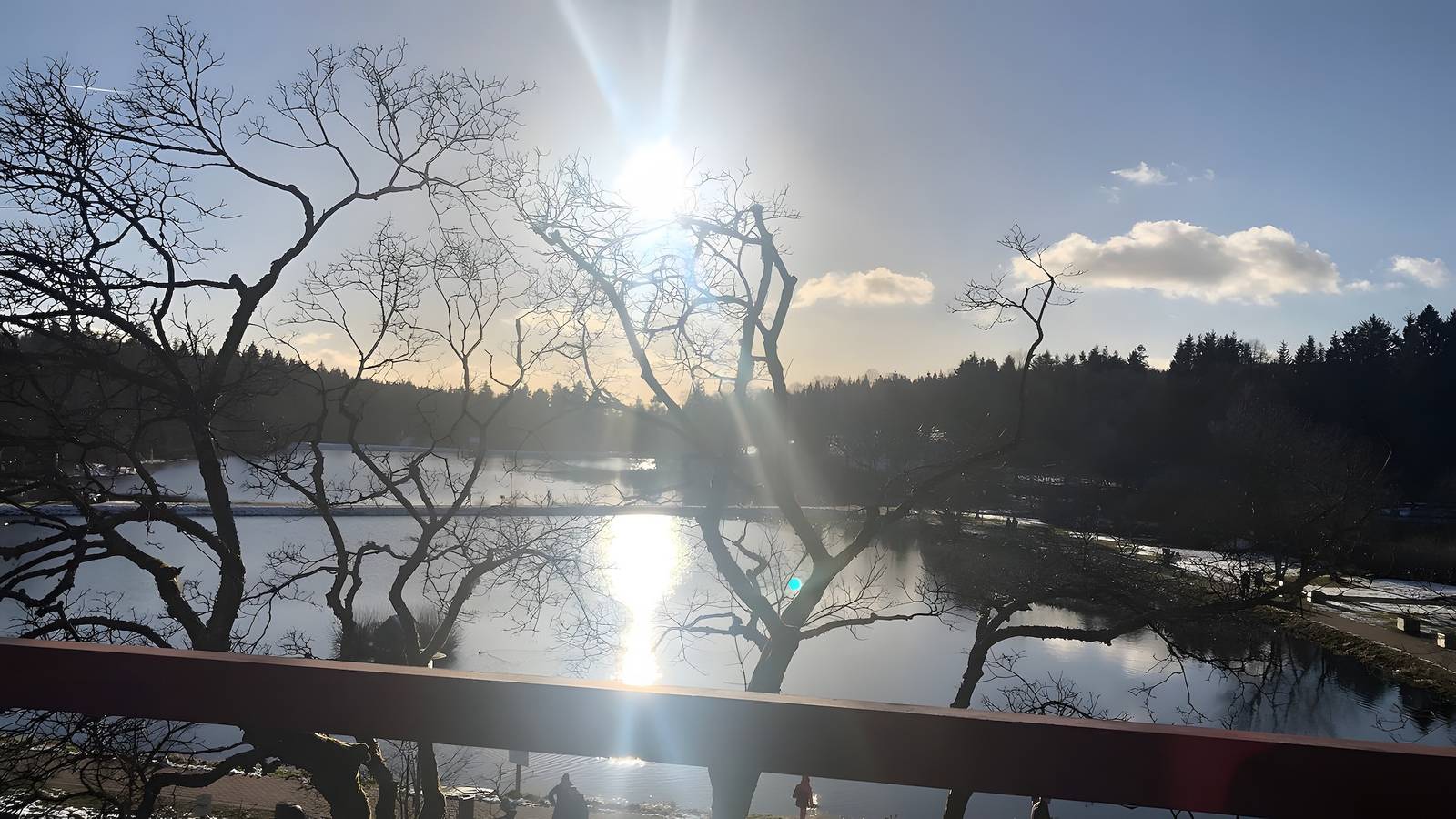 Appartement Seeblick voor 2 personen in Goslar Hahnenklee direct aan de Kranichsee, foto 15