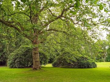 Ferienhaus für 4 Personen in Tondern, Tondern und Umgebung, Bild 2