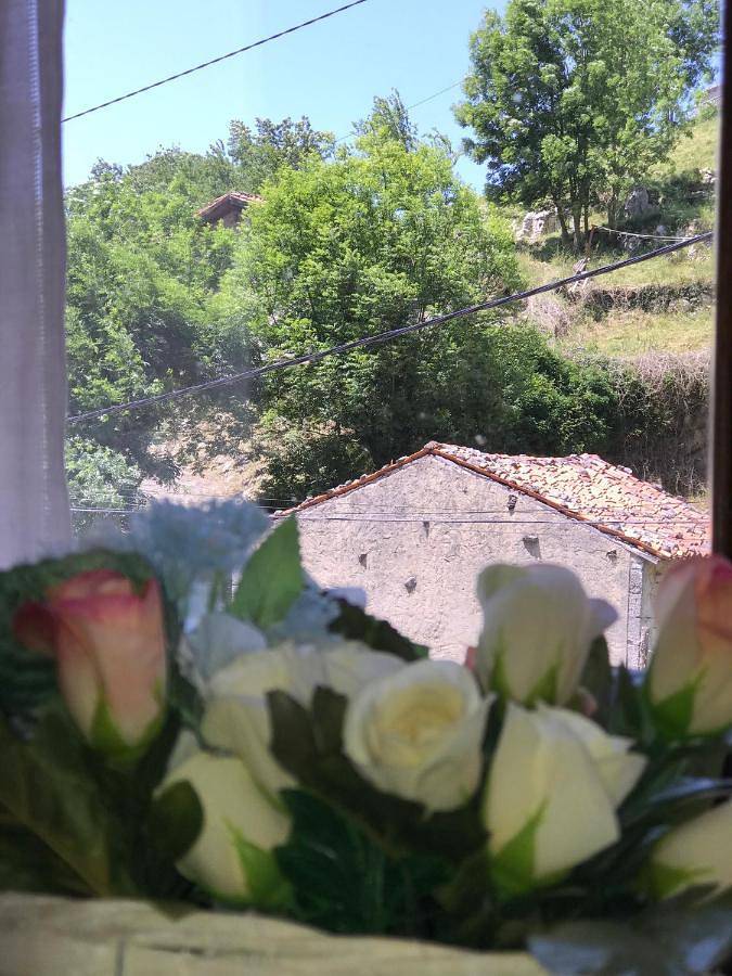 Casa rural para 3 personas, con vistas y jardín en Parque Nacional de Los Picos de Europa - 3