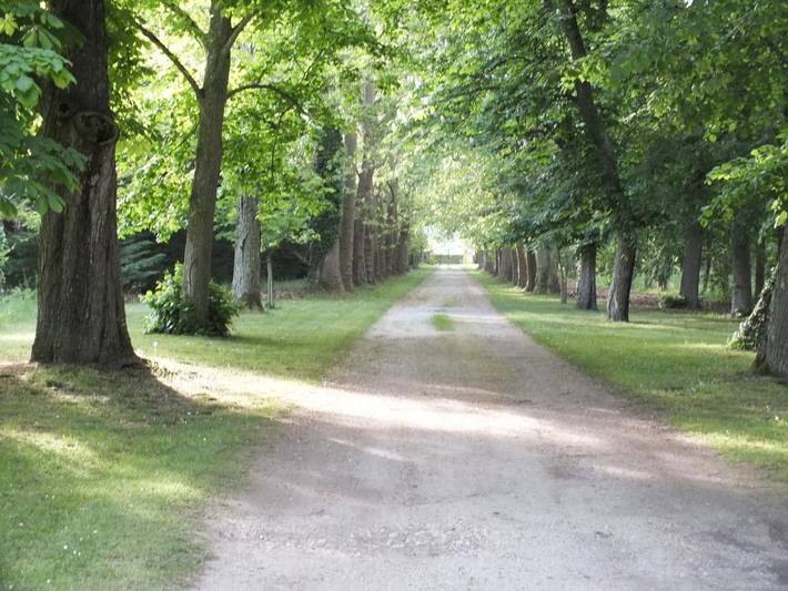 Location de vacances pour 3 personnes, avec jardin ainsi que piscine et vue à Vivy - 4