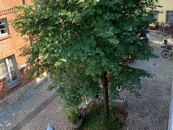 Ferienwohnung für 2 Personen, mit Balkon in Altstadt (Erfurt) - 4
