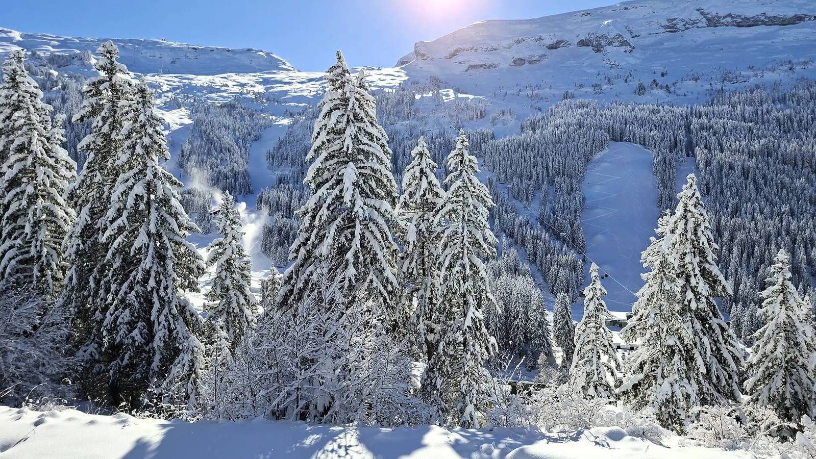 Studio entier, Studio rénové avec casier à ski · Proche des pistes · Balcon in Flaine, Arâches-la-Frasse