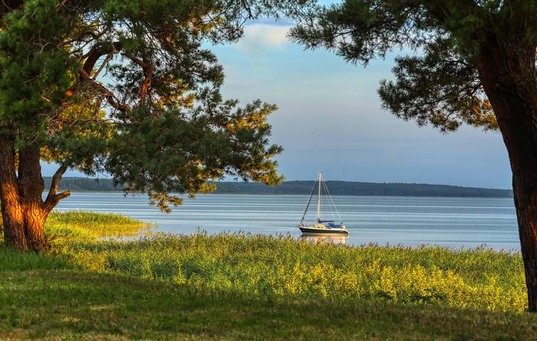 Ferienhaus für 4 Personen, mit Terrasse, mit Haustier in Rankwitz - 4
