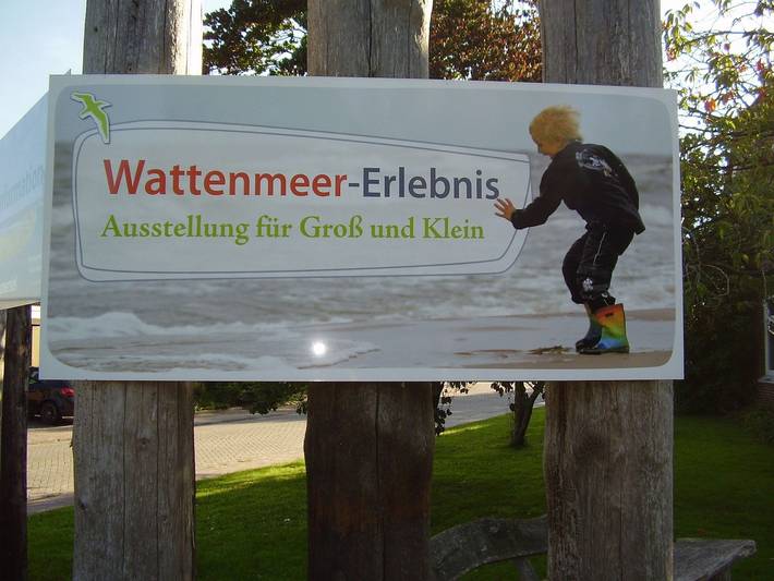 Ferienwohnung für 3 Personen, mit Terrasse in Westerbur - 2