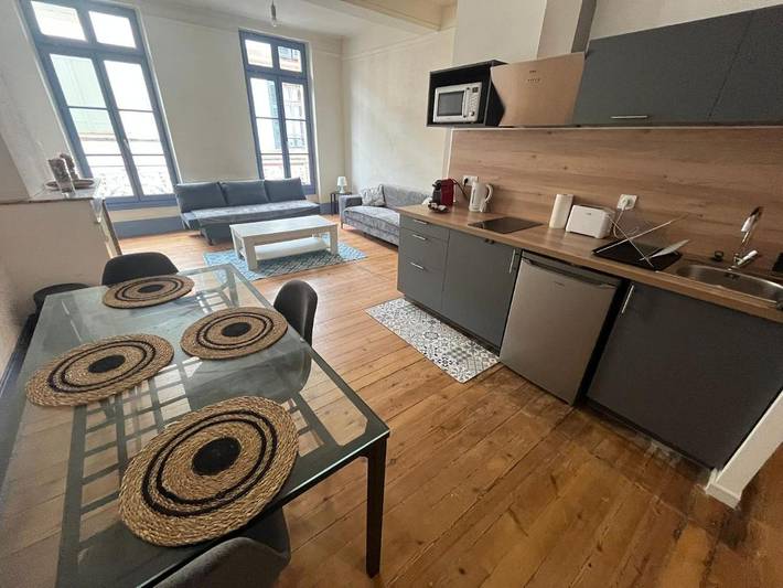 Appartement de vacances pour 4 personnes, animaux acceptés à Montauban