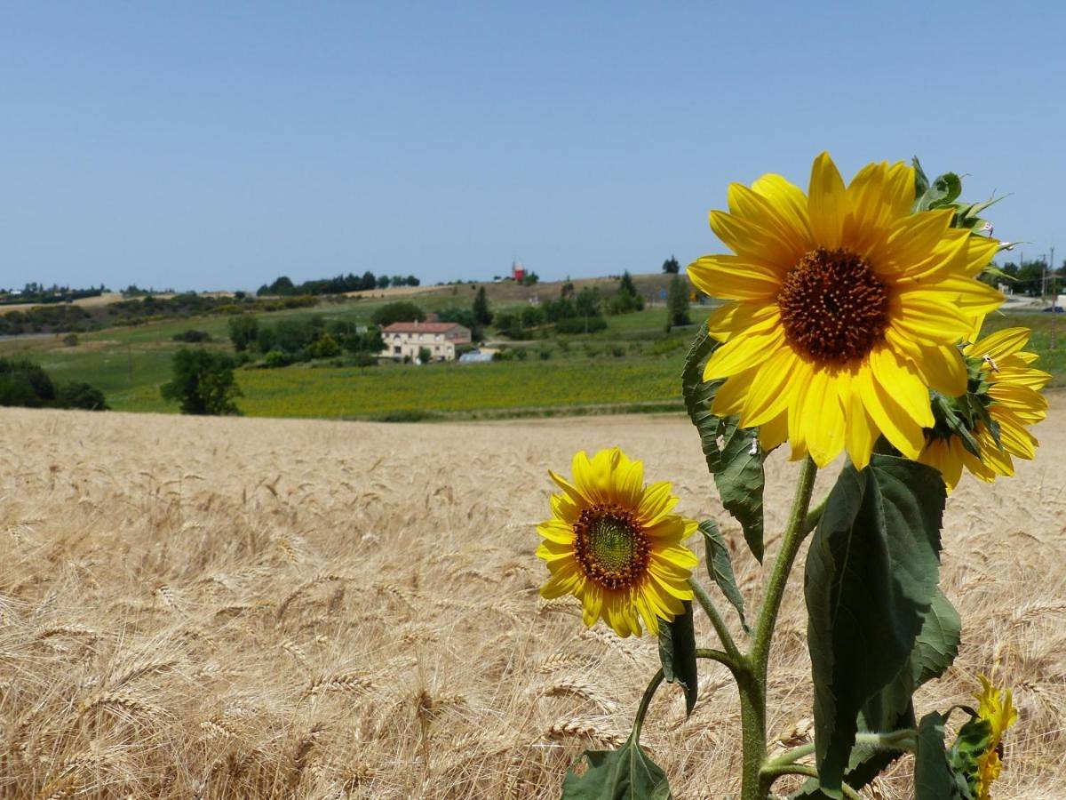 Gites des Camparros in Nailloux, Lauragais