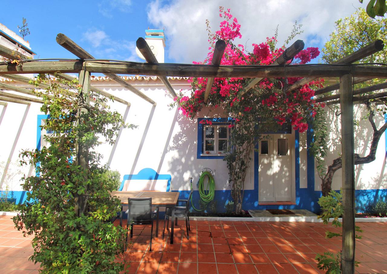Casa Bungavilia - Roots of Alentejo in Alvito, Beja Distrikt