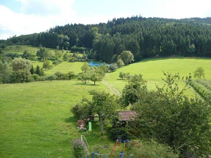 Ferienwohnung mit 1 Schlafzimmer in Steinach, Kinzigtal