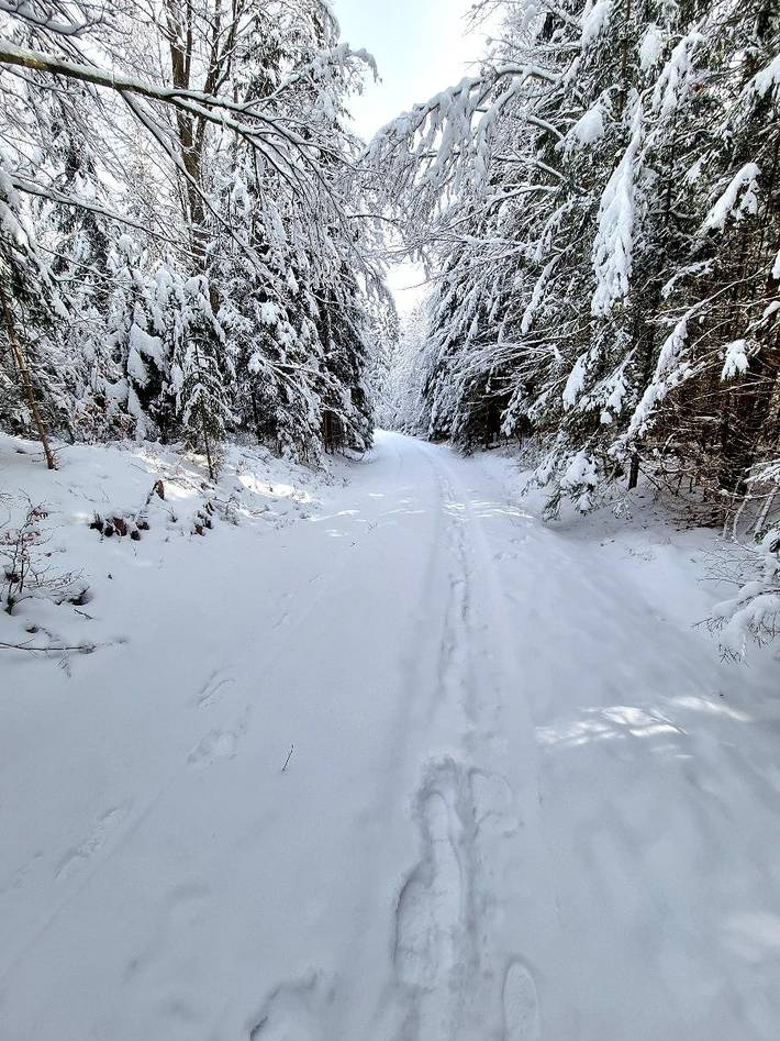 Ferienhaus für 6 Personen, mit Balkon/Terrasse in Sankt Oswald-Riedlhütte - 4