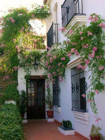Rural Vega de Cazalla in Cazalla de la Sierra, Sierra Morena