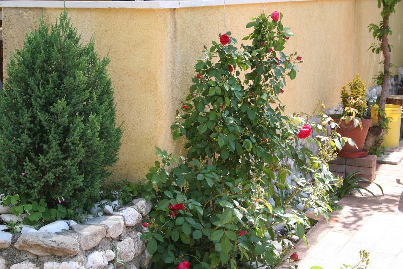 Hel leilighet, Studio flat near beach Promajna, Makarska As-2674-a in Promajna, Makarska Riviera