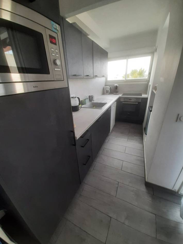 Gîte pour 6 personnes, avec vue sur le lac ainsi que piscine et terrasse dans Port Camargue - 4