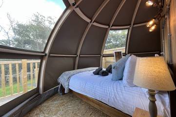 Camping for 4 People in Pembrokeshire, South-Wales, Photo 3