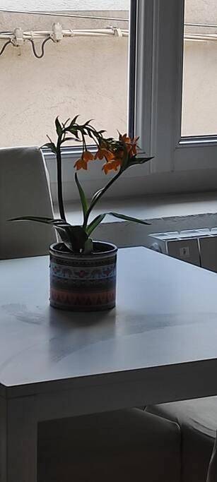 Gîte pour 4 personnes, animaux acceptés à Camps-la-Source - 2